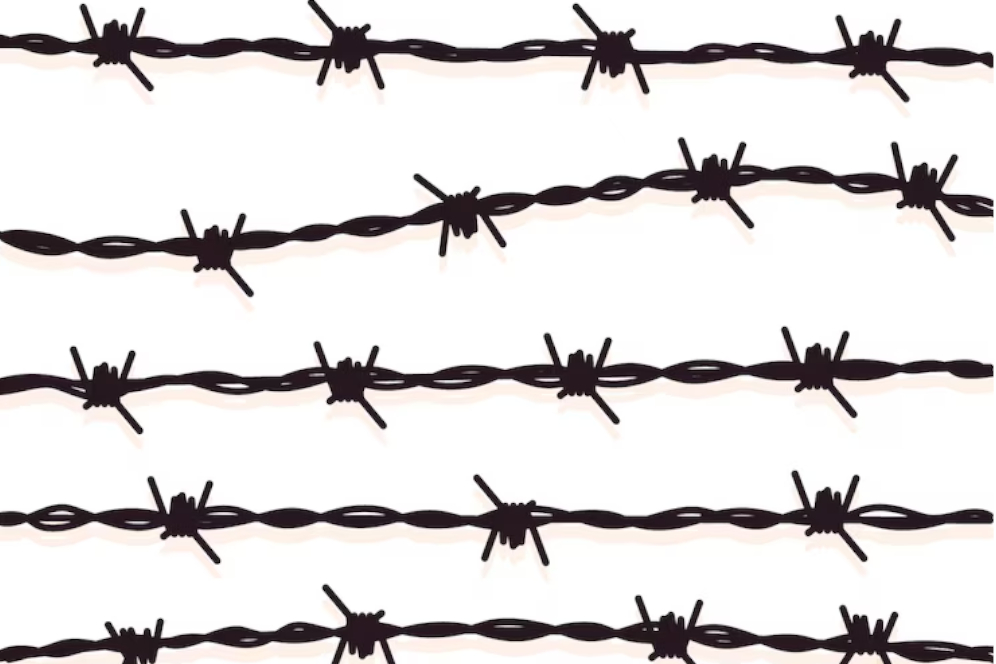 Barbed Wire